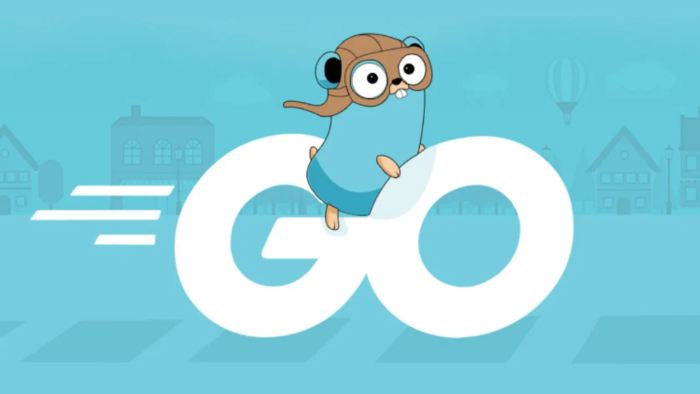 Golang ile yüksek performanslı servisler geliştiriyorum