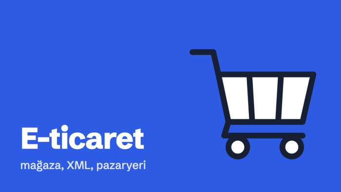 e-ticaret sitenizi kurar ve pazaryerlerine bağlarım