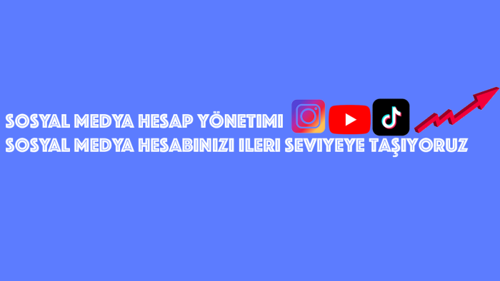 uzman olduğum sosyal medya hesap yönetimi yapıyorum