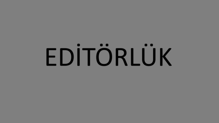 metinlerinizin editörlüğü yapabilirim