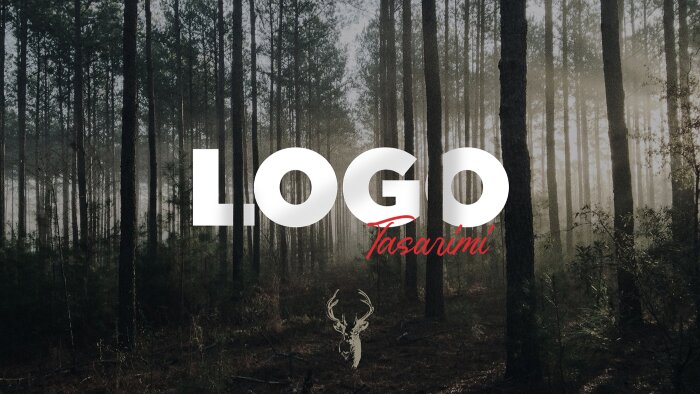 markanız için profesyonel logo tasarımı yaparım