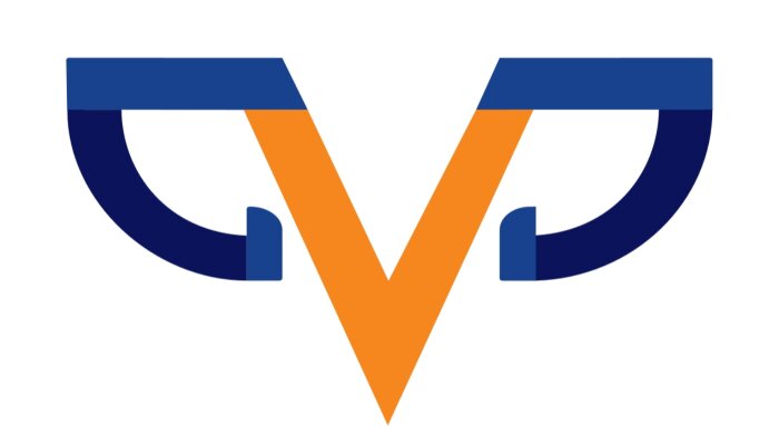 özgün ve profesyonel logo tasarımları hazırlıyorum