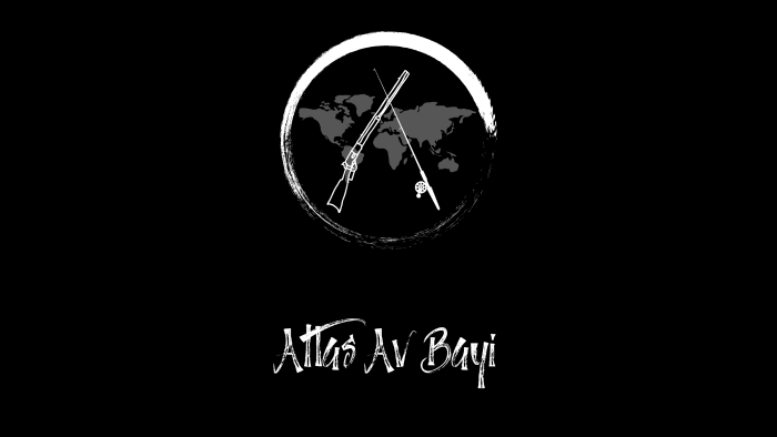 Size dikkat çekici bir logo tasarlayabilirim