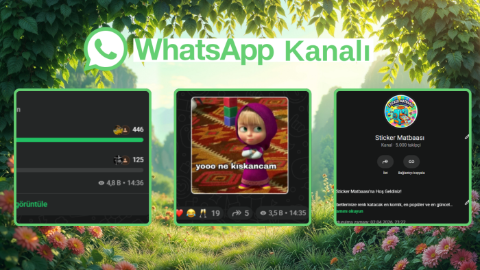 whatsapp'ta 5k takipçili kanalıma reklam alıyorum