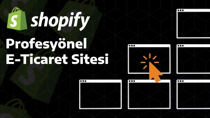 size özel profesyonel shopify mağazası kuruyorum
