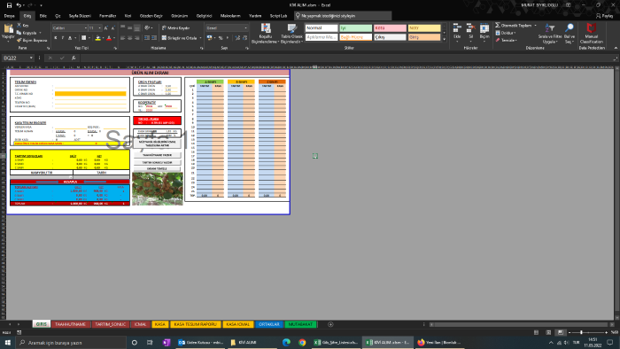 Excel VBA çözümleri ile iş süreçlerinizi kolaylaştırabilirim