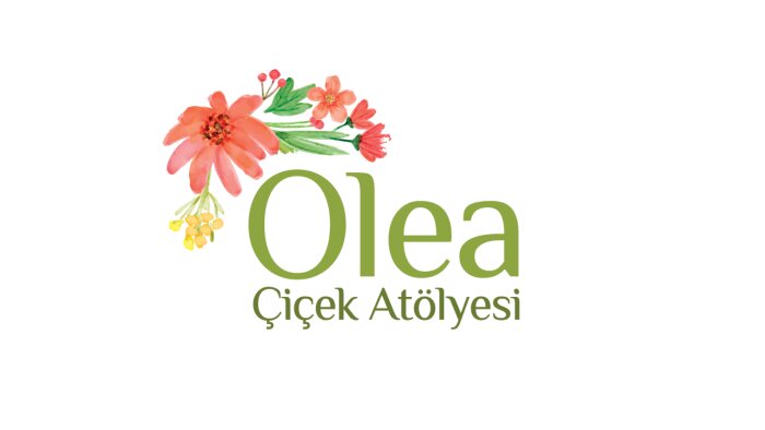 profesyonel logo tasarımları yaparım