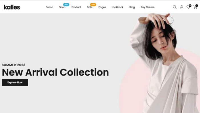 shopify web sitesi yaparım