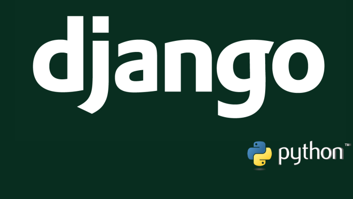 django ile web uygulamaları geliştirebilirim
