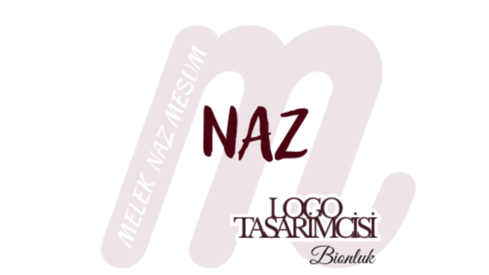 hayal gücümle gözünüze hitap eden logolar tasarlayabilirim