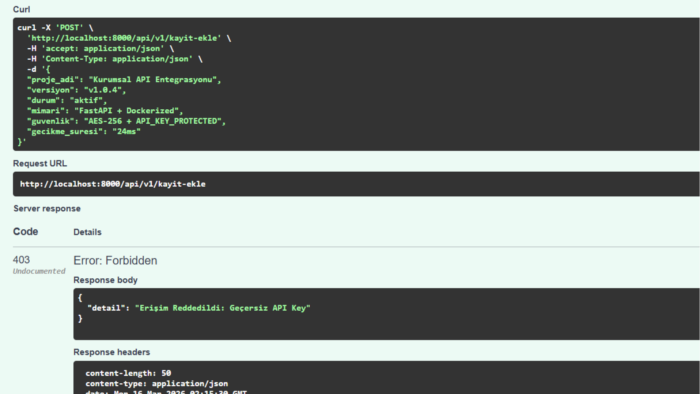 profesyonel FastAPI backend sistemleri kurarım