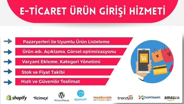 e-ticaret siteleri için ürün veri girişlerinizi yapabilirim
