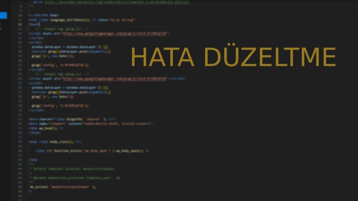 yazılım hatalarınızı düzeltirim