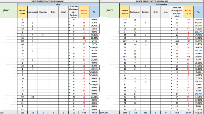 profesyonel excel raporlama ve veri analizi yaparım