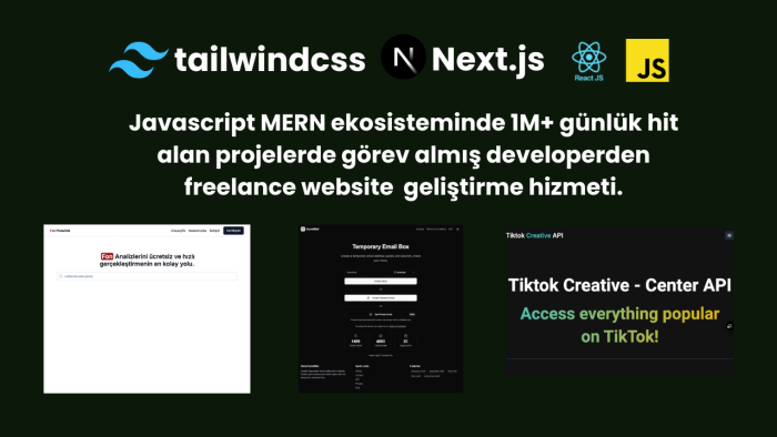 sizin için profesyonel web site geliştirme hizmeti sağlarım