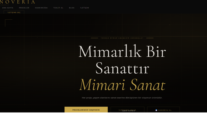 web sitesi yapıyorum