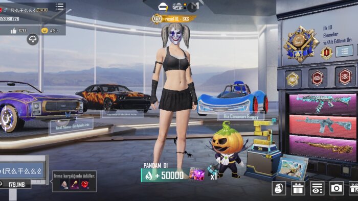 Pubg mobile sks küresel ünvanlı her konuda yardım edebilirim