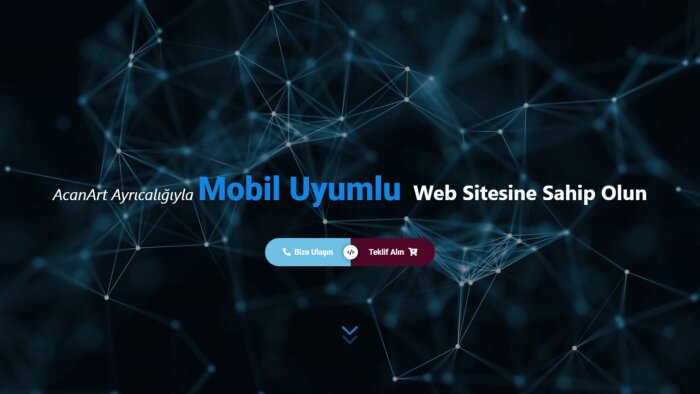 firmanız için eşsiz web sitesi yaparım