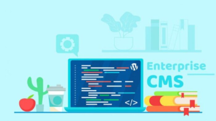 isteğinize uygun web sitesi ve cms platformları kurarım