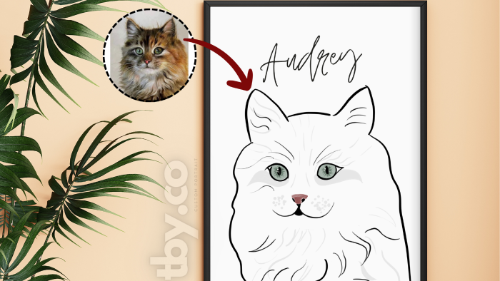 line art & faceless portre çizebilirim