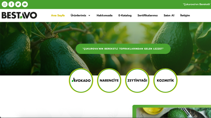 profesyonel bireysel ve kurumsal web sitenizi tasarlarım