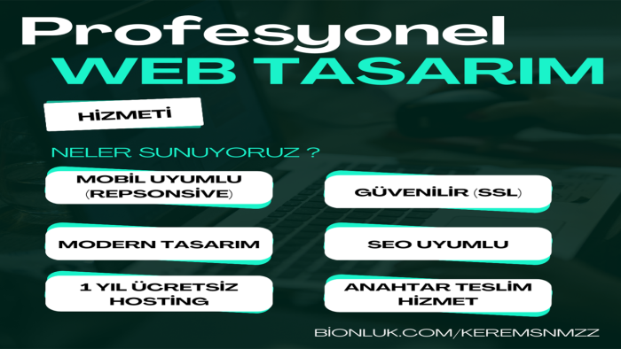 profesyonel şekilde anahtar teslim web sitesi yapabilirim