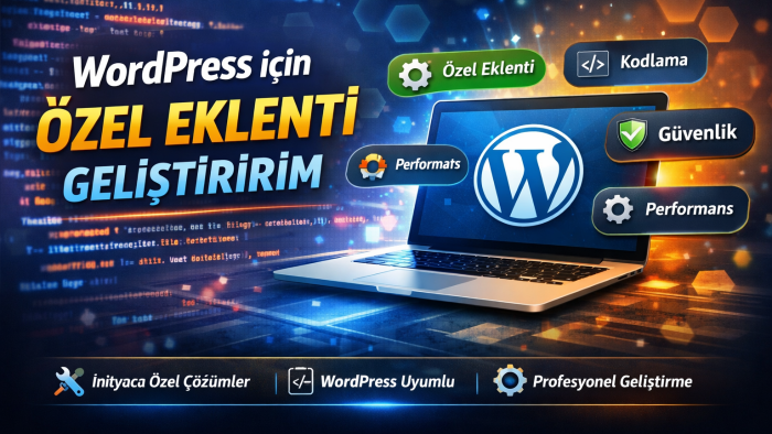 wordpress için özel eklenti geliştirebilirim