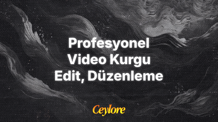 istediğiniz videoyu profesyonel olarak düzenleyebilirim