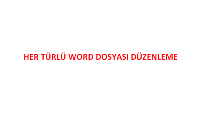 word ile her türlü içerik hazırlayabilir güncelleme yaparım