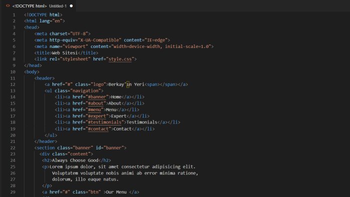 web sitenizin ön yüzünü yaparım