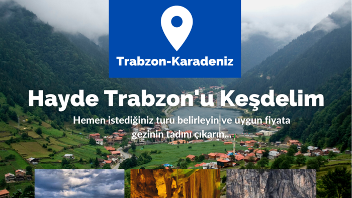 broşür katalog veya afiş tasarımları yapabilirim