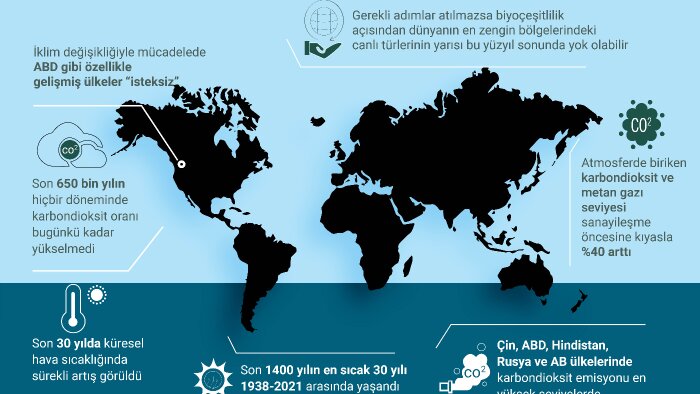 istediğiniz şekilde infografik afiş tasarımları yapabilirim