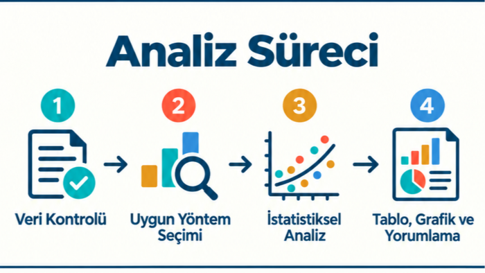 verinize profesyonel düzeyde istatistiksel analiz yaparım