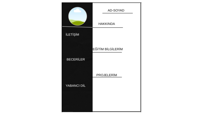 size özel cv yapıyorum