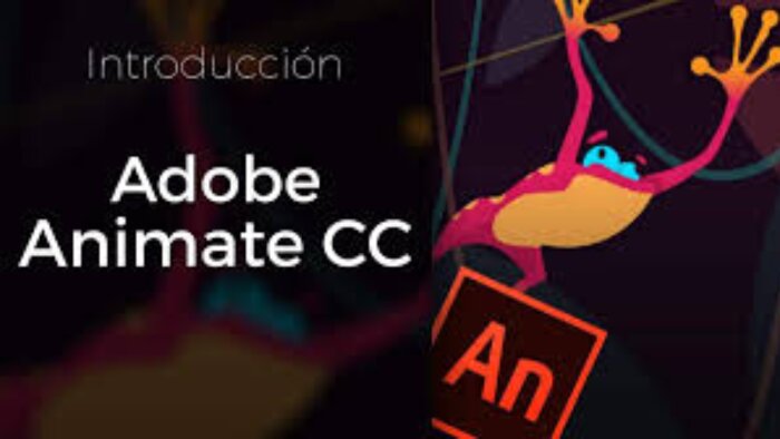 Adobe Animate CC animasyon özel dersi veririm