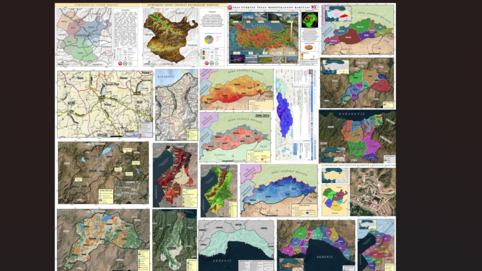 ArcGIS ile profesyonel CBS analizi ve haritalama yaparım