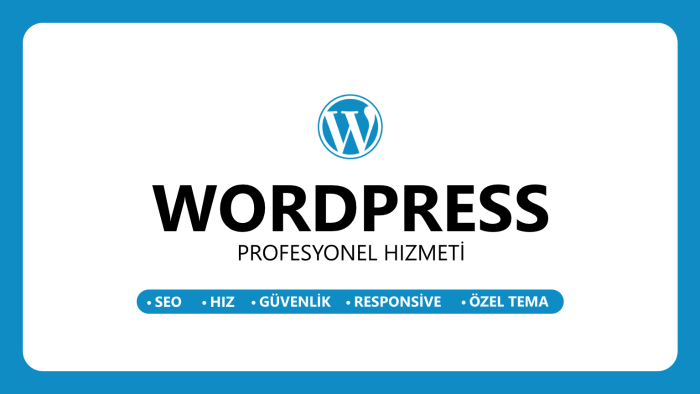 Wordpress sitenizi profesyonelce SEO hız ayarlarıyla yaparım