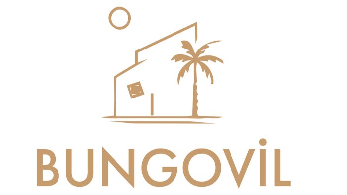 logo tasarımı yaparım