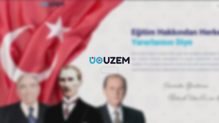 web sitelerinize yönelik tanıtım videoları hazırlıyorum