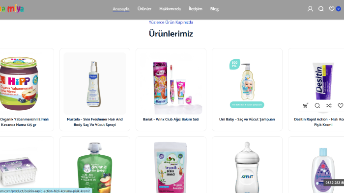 profesyonel web yazılım hizmetleri veriyorum