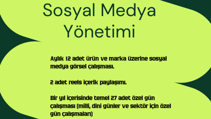 sosyal medya yöneticisiyim
