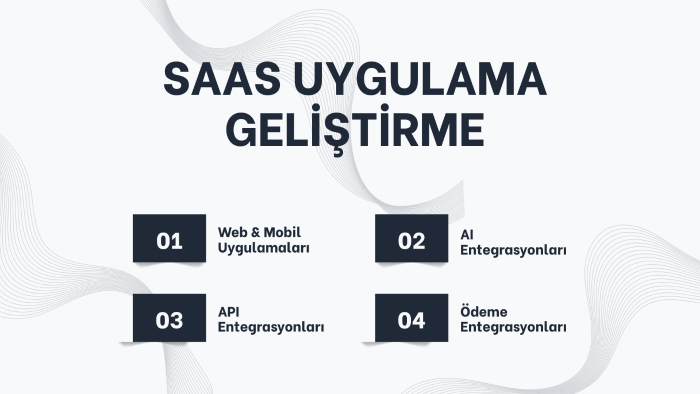 baştan sona SaaS ürününüzü geliştiririm
