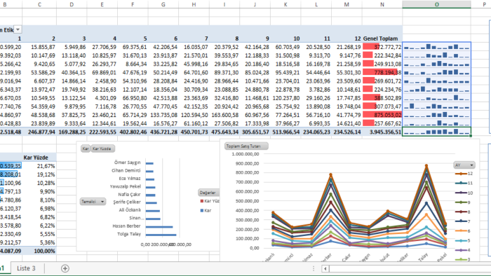 profesyonel excel raporlama ve tablo tasarımı yapabilirim
