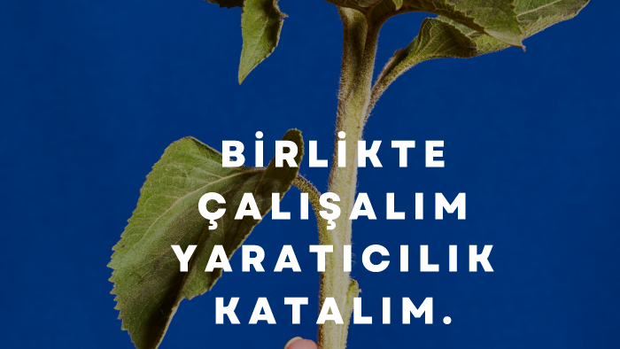 sosyal medyanız için tasarımlar yaparım