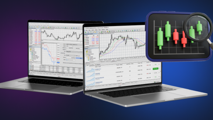 kripto ve forex platformlarına ek özellik ekleme yaparım