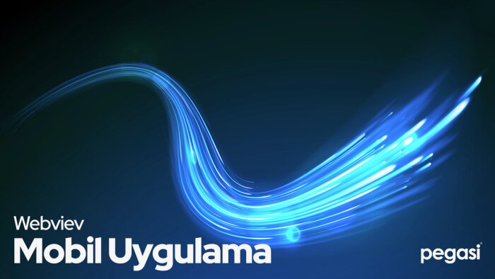 web sitenizi mobil uygulama (webview) haline getirebilirim