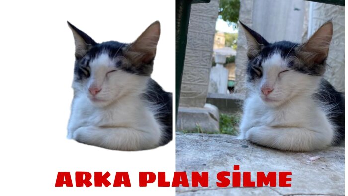 arka plan temizleme (dekupe) işlemini hızlıca yapıyorum