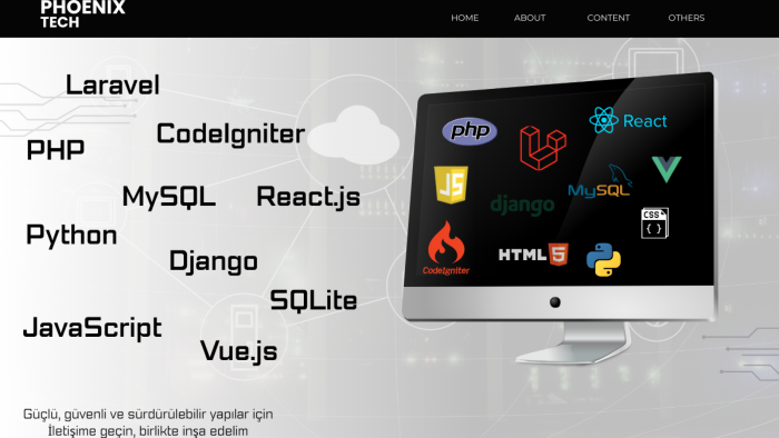 laravel codeigniter vb ile web uygulamalarınızı geliştiririm
