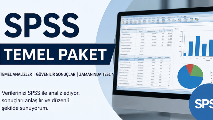 SPSS ile veri analizi ve istatistiksel rapor hazırlarım
