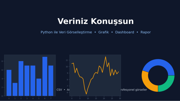  veri görselleştirme, grafik ve dashboard raporu yapıyorum
